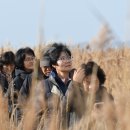 강릉포레스트 이미지