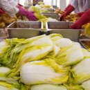 함평군사회복지협의회 이미지