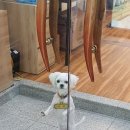 75기 경위공채 사이버직렬 합격수기 - 심규엽 이미지