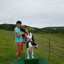 승현목장 이미지