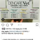 뉴에스틴 이미지