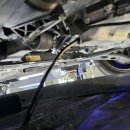 블루디젤모터스 이미지