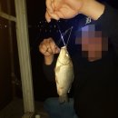 국화낚시터 이미지