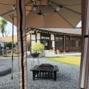 스테이 서하 이미지