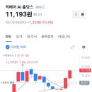 빅 베어 이미지