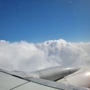 만복농장 | 제주도 3박 4일 여행 Ep.3 _ 1일차 코스 정리