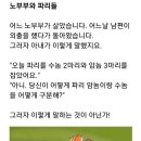 파리 이미지