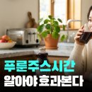 푸룬주스 효과 시간 공복 섭취 후기