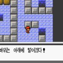 드레곤체육관 이미지