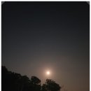 상류펜션 | 강화도펜션 촬영지로 유명한 곳 다녀온 후기 전달해 드려요~