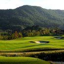 알펜시아 컨트리클럽 이미지