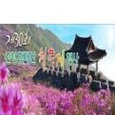 수원-0931 이미지