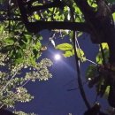 동산슈퍼 이미지