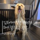 슈슈댕 구래점 이미지