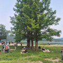 두물머리 관광안내소 이미지