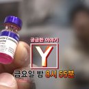서울대동물종합병원 이미지