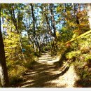 팔공산 하늘정원 이미지