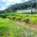 수종목장 이미지