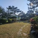 염치약국 이미지