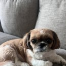 앤티앤스우 이미지