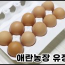 애란농장 | 신선하고 고소한맛 신안1004몰 애란농장 유정란 애들반찬 간식 만들기 좋아요
