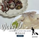청송수산 | 용인횟집 활주로수산 고등어회 오징어회 오징어찜 후기