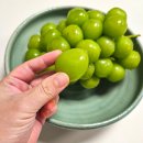 소담공방협동조합 이미지