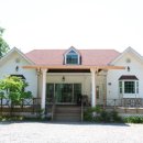 숲속의 산책 이미지