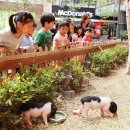 동물농장 이미지