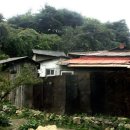 보룡1리 이미지