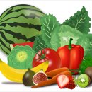 신일식품 이미지