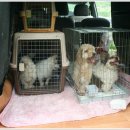 강남25동물병원 이미지