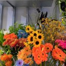 こんにちは! 일본에 가자! (4/8) 이미지