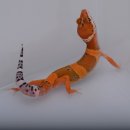 (주)JMG 이미지