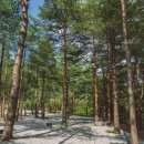 스테이강릉 이미지