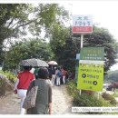 대원농장1 이미지