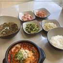 돌애 이미지