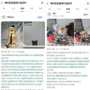 푸른동물병원 | 반여동 동물병원, 강아지 발작이 나타났다면? 전문가 진단이 필요한 순간