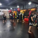 수원복싱체육관 이미지