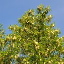 선부배수지 이미지