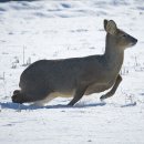 약속의 땅 이미지