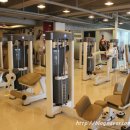 도로시맘 | 산본헬스 산본PT = 헬스프린스 (도로시맘 운동후기 2주차)