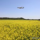 인천국제공항 하늘정원 내 이미지