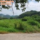 구산면693 네이버블로그