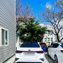 기아오토큐왜관점 이미지