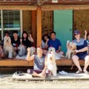 대벌농장 이미지