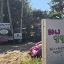 퍼니멍멍 이미지