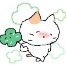 미즈피아병원 이미지