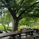 늘푸른식자재 | 울릉도 나리분지 늘푸른산장식당에서 낭만과 건강챙기기*^^*