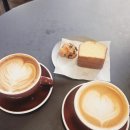 스테이132 | 세종 나성동 카페 스테이인터뷰 나성 데이트하기 좋은 브런치카페 내돈내산후기